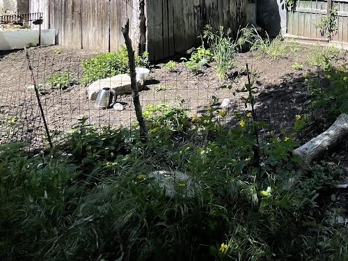 квартира за адресою Фонтанська дорога вул., 107