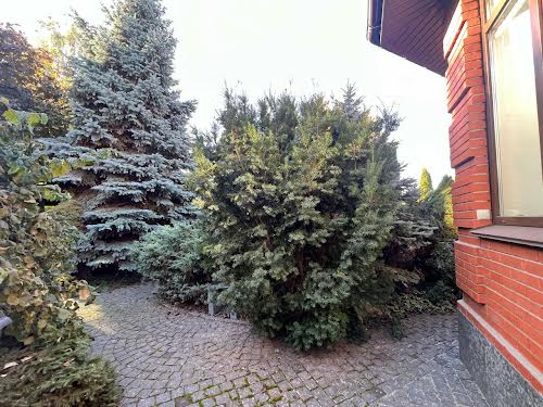 будинок за адресою с. Нові Петрівці, Княгині Ольги вул.