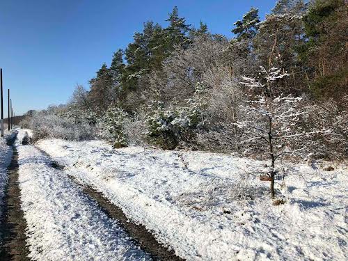 квартира по адресу с. Гора, Центральна ул., 38б