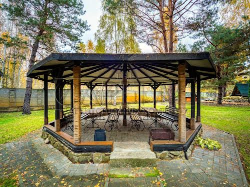 комерційна за адресою с. Ясногородка, Яржина, 1