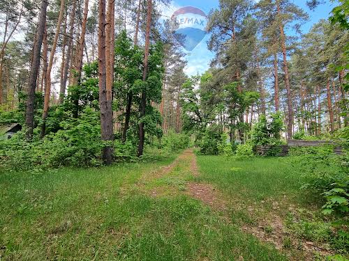 ділянка за адресою Вітряного