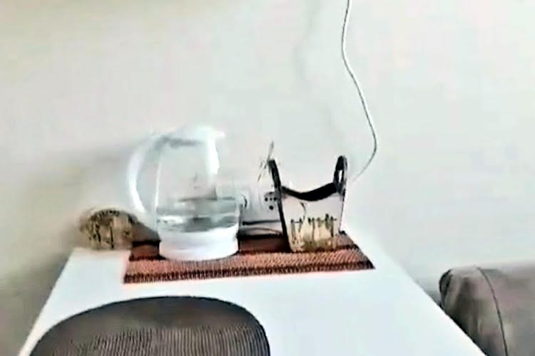 1830831998030842